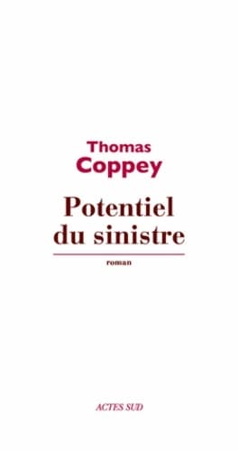 Potentiel du sinistre - Thomas Coppey