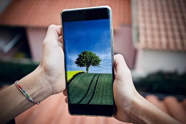 Comment choisir la meilleure plateforme e-commerce en France