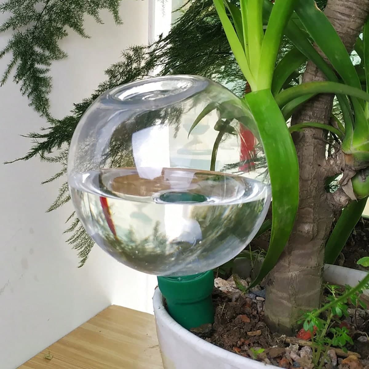 Dispositif en forme de boule d'arrosage automatique pour plantes d'intérieur, cactus et succulentes avec irrigation goutte-à -goutte, solution